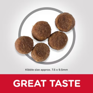 HILL'S SCIENCE PLAN MEDIUM PUPPY FOOD WITH CHICKEN 14KG - Hill's Dry Dog Food in Qatar
