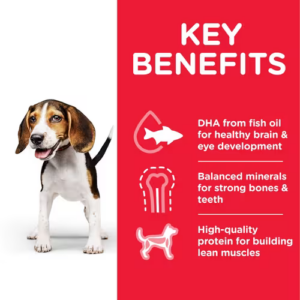 HILL'S SCIENCE PLAN MEDIUM PUPPY FOOD WITH CHICKEN 14KG - Hill's Dry Dog Food in Qatar