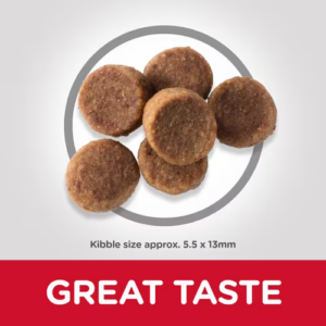 HILL'S SCIENCE PLAN LARGE BREED PUPPY FOOD WITH CHICKEN 16KG - Hill's Dry Dog Food in Qatar