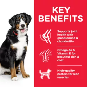 HILL’S SCIENCE PLAN LARGE BREED ADULT DOG FOOD WITH CHICKEN 14KG - Hill's Dry Dog Food in Qatar