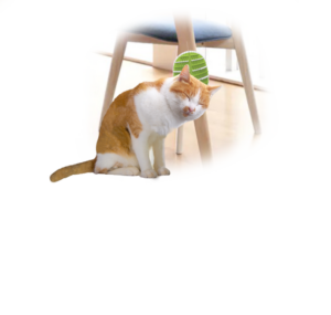 LIFESTYLE 4 PETS - 2 IN 1 GROOMER - Cat Care in Qatar