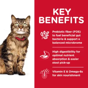 HILL’S SCIENCE PLAN SENSITIVE STOMACH & SKIN ADULT CAT FOOD WITH CHICKEN & RICE RECIPE 1.5KG - Hill's Dry Cat Food in Qatar