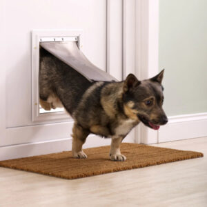 Staywell Aluminium Pet Door - MEDIUM - Cat Care in Qatar