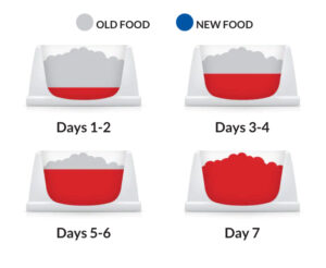HILL’S SCIENCE PLAN ADULT URINARY HEALTH WITH CHICKEN 1.5KG - Hill's Dry Cat Food in Qatar