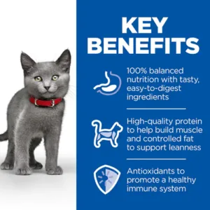 HILL'S SCIENCE PLAN STERILISED KITTEN FOOD CHICKEN - 1.5KG - Hill's Dry Cat Food in Qatar
