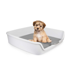 GO FRESH - DOG PEE PAD HOLDER - for Dogs in Qatar
