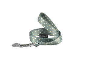 PRETTY LEASH - MEDIUM - for Dogs in Qatar