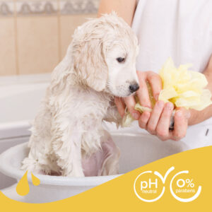 SHAMPOO CHAMOMILE & ALOE VERA FOR PUPPIES 250ML - Dog Care in Qatar