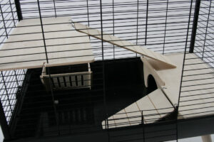 NEO SILTA SMALL RODENT CAGE - BLACK - for Rodents in Qatar