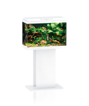 JUWEL PRIMO 70 STAND SB - WHITE 60/50 - Aquariums in Qatar