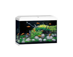 JUWEL PRIMO 70 LED 2.0 - White - Aquariums in Qatar