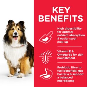 HILL'S SCIENCE PLAN SENSITIVE STOMACH & SKIN MEDIUM ADULT DOG WITH CHICKEN - 2.5KG - Hill's Dry Dog Food in Qatar