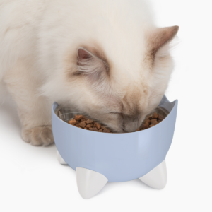 CATIT PIXI DRINKING FOUNTAIN - COMBO PACK (VARIOUS COLORS) - For Cats in Qatar