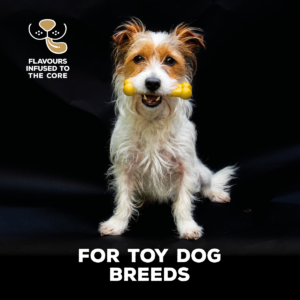 TastyBone Nylon Toy Dog - Chicken - Pet Accessories in Qatar