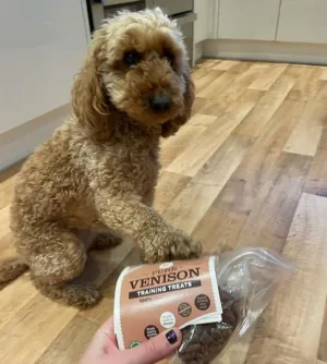 PURE VENISON TRAINING TREATS 85G - Pet Treats in Qatar