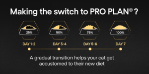 Purina Pro Plan Senior 7+ Longevis Dry Cat Food with Salmon - 3kg - Purina Dry Cat Food in Qatar