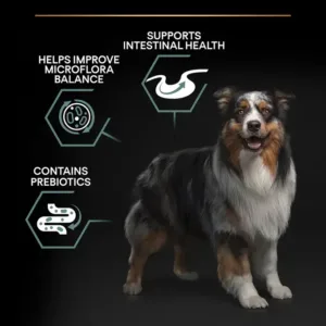 Purina Pro Plan Sensitive Digestion Medium Adult, Dry Dog food with Lamb - 3kg - Purina Dry Dog Food in Qatar
