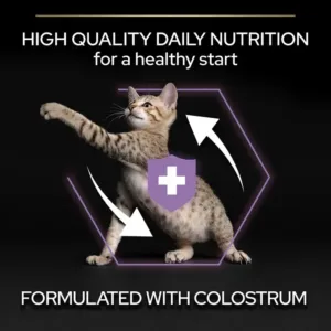 Purina Pro Plan Kitten Healthy Start Dry Cat Food with Chicken - 1.5kg - Purina Dry Cat Food in Qatar