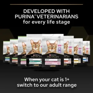 Purina Pro Plan Kitten Healthy Start Dry Cat Food with Chicken - 1.5kg - Purina Dry Cat Food in Qatar