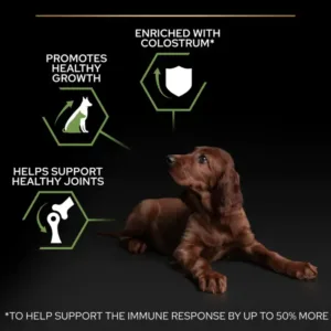 Purina Pro Plan Healthy Start Large Athletic Puppy, Dry Dog food with Chicken - 3kg - Purina Dry Dog Food in Qatar