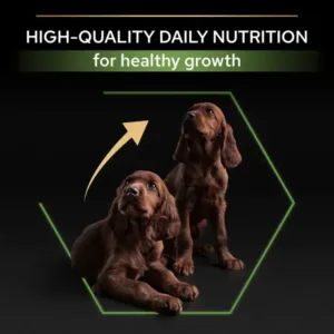 Purina Pro Plan Healthy Start Large Athletic Puppy, Dry Dog food with Chicken - 3kg - Purina Dry Dog Food in Qatar