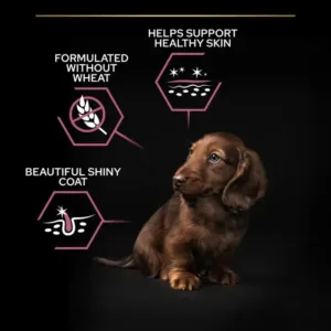 Purina Pro Plan Sensitive Skin Small and Mini Adult, Dry Dog food with Salmon - 3kg - Purina Dry Dog Food in Qatar