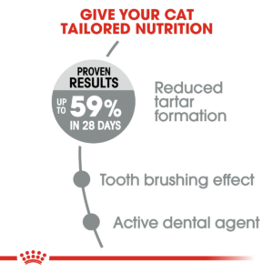 Feline Care Nutrition Dental Care 1.5KG - Cat Food in Qatar