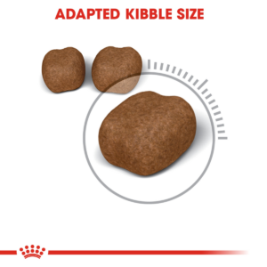 Feline Care Nutrition Dental Care 1.5KG - Cat Food in Qatar