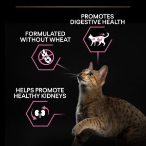 Purina Pro Plan Adult Delicate Digestion, Dry Cat Food with Turkey - 10kg - Purina Dry Cat Food in Qatar