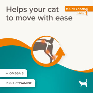 Flexifit Bits Cat 35g - Pet Supplements in Qatar