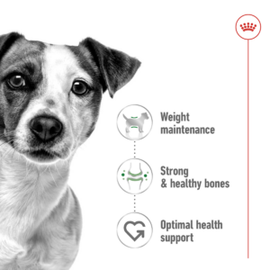 Size Health Nutrition Mini Adult 4 KG - Dog Food in Qatar
