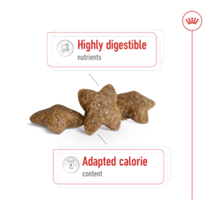 Size Health Nutrition Mini Adult 4 KG - Dog Food in Qatar