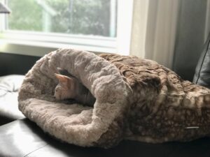 Trixie Leika Sleeping Bag - Pet Accessories in Qatar