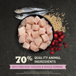 Acana First Feast Cat Dry Food 1.8kg - Acana Dry Cat Food in Qatar