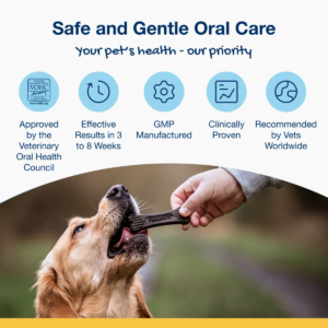 ProDen PlaqueOff Mini Dental Care Bones - Vegetable Fusion & Blueberry 340g - Pet Care in Qatar