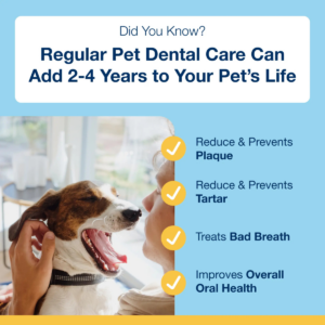 ProDen PlaqueOff Mini Dental Care Bones - Vegetable Fusion & Blueberry 340g - Pet Care in Qatar