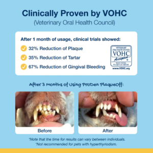 ProDen PlaqueOff Mini Dental Care Bones - Vegetable Fusion & Blueberry 340g - Pet Care in Qatar