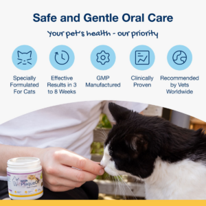 ProDen PlaqueOff Soft Chews for Cats - 120 chews, 90g - Pet Treats in Qatar