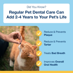 ProDen PlaqueOff Soft Chews for Cats - 120 chews, 90g - Pet Treats in Qatar