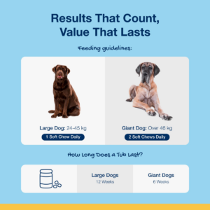ProDen PlaqueOff Soft Chews for L/Giant Dogs - 60 chews, 180g - Pet Treats in Qatar