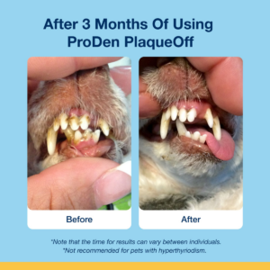 ProDen PlaqueOff Soft Chews for S/M Dogs - 120 chews, 90g - Pet Treats in Qatar