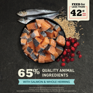 Acana Bountiful Catch 1.8kg - Acana Dry Cat Food in Qatar