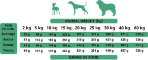 The Only One Adult Dog Food Duck 12kg - Alpha Spirit Dog Dry Food in Qatar