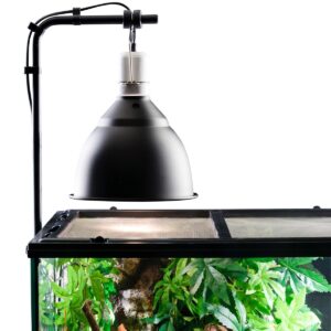 Exo Terra Light Dome Bracket - Reptiles in Qatar