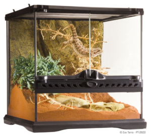 Exo Terra Natural Terrarium Mini/Wide 30x30x30 cm - Reptiles in Qatar