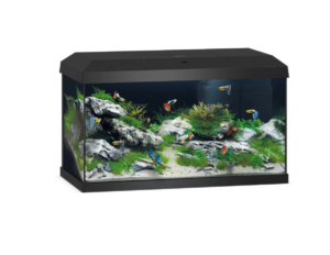 Juwel Primo 60 LED 2.0 Aquarium - Black - Aquariums in Qatar