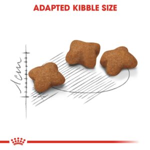 Feline Health Nutrition Kitten Sterilised 2kg - Cat Food in Qatar