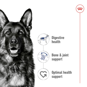 Royal Canin Size Health Nutrition Maxi Adult (Wet Food - Can) 12 x 410g - Dog Food in Qatar
