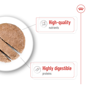 Royal Canin Size Health Nutrition Maxi Adult (Wet Food - Can) 12 x 410g - Dog Food in Qatar