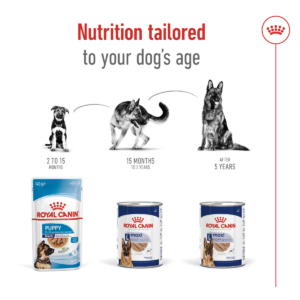 Royal Canin Size Health Nutrition Maxi Adult (Wet Food - Can) 12 x 410g - Dog Food in Qatar